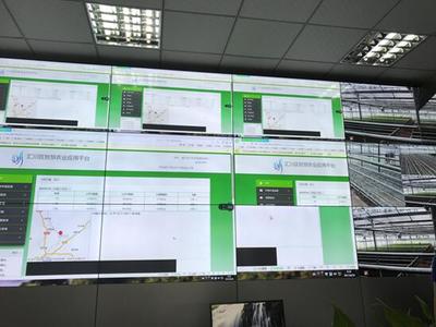 世界家風(fēng)--&ldquo;文明家庭在農(nóng)村&rdquo;現(xiàn)場交流活動走進貴州遵義泗渡鎮(zhèn)