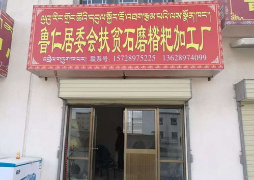 我校段玉平校友榮獲 全國脫貧攻堅先進(jìn)個人 稱號丨將扶貧詩篇寫在海拔4700米