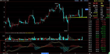 歡迎訪問(wèn)渤海商品交易所網(wǎng)站!