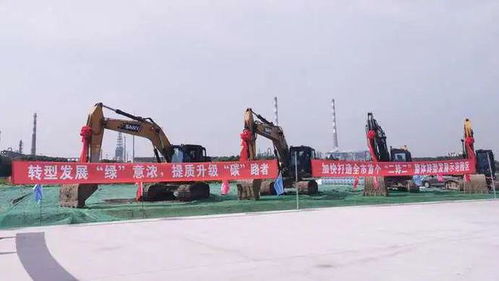 吸引企業紛紛飛回上海，金山這家園區有何奧秘——財務咨詢助力企業騰飛