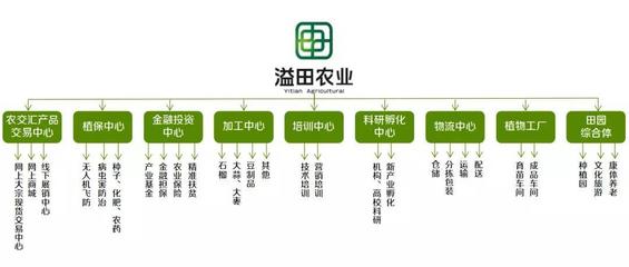 溢田農(nóng)業(yè) 現(xiàn)代供應(yīng)鏈管理與財(cái)務(wù)咨詢雙輪驅(qū)動的創(chuàng)新實(shí)踐